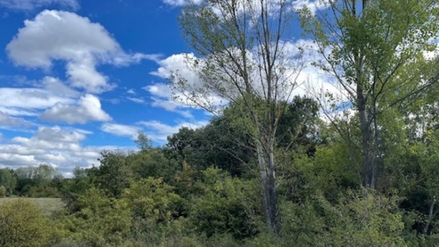 Eladó telek, Veszprémben 6.9 M Ft / költözzbe.hu