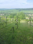 Eladó telek, Kerekin 4.9 M Ft / költözzbe.hu