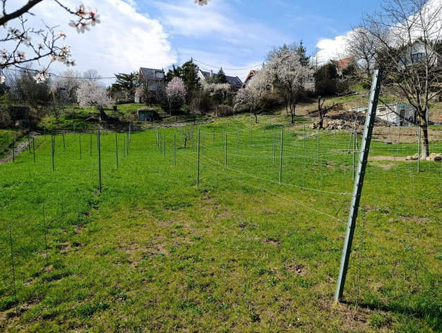 Eladó telek, Csopakon 79.9 M Ft / költözzbe.hu