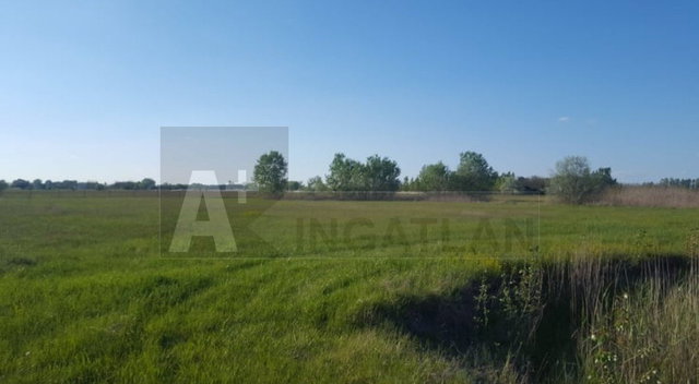 Eladó mezogazdasagi ingatlan, Bordányon 95 M Ft