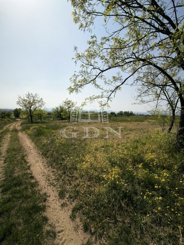 Eladó mezogazdasagi ingatlan, Dunakeszin 22 M Ft