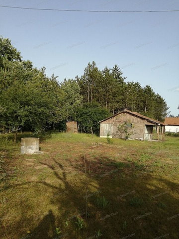 Eladó mezogazdasagi ingatlan, Kecskeméten 4.6 M Ft
