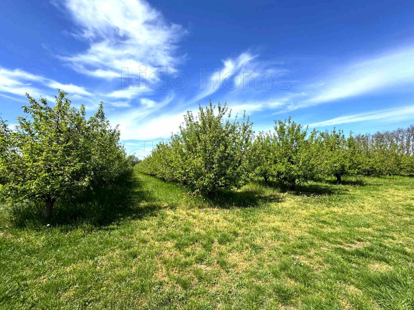 6060m² · 17.990.000 ft