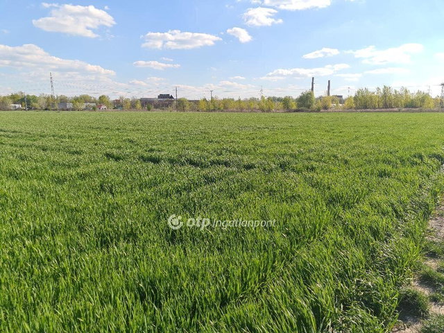 Eladó telek, Szigetszentmiklóson 16.9 M Ft / költözzbe.hu