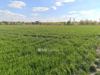 Eladó telek, Szigetszentmiklóson 16.9 M Ft / költözzbe.hu
