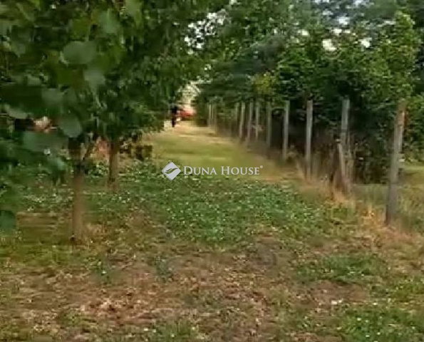 Eladó családi ház, Orosházán 2.75 M Ft, 4 szobás