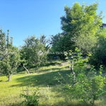 Eladó telek, Erdőkertesen, Béke utcában 48 M Ft