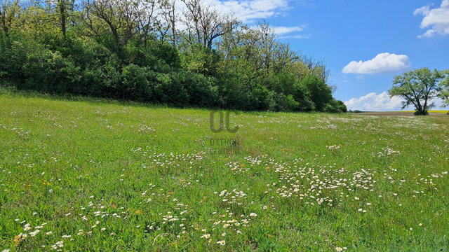Eladó mezogazdasagi ingatlan, Tordason 295 M Ft, 4 szobás