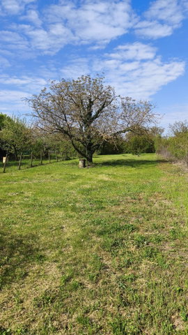 Eladó mezogazdasagi ingatlan, Békéscsabán 4.4 M Ft