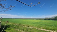 Eladó családi ház, Bakonybánkon 23 M Ft, 3 szobás
