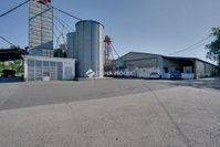 Eladó mezogazdasagi ingatlan, Bakonybánkon 164.84 M Ft