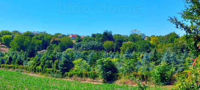 Eladó telek, Balatonszárszón 19.7 M Ft / költözzbe.hu