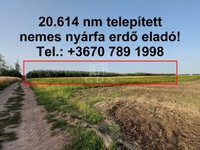 Eladó mezogazdasagi ingatlan, Hajdúnánáson 12.875 M Ft