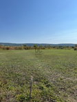 Eladó mezogazdasagi ingatlan, Budakeszin 1.49 M Ft