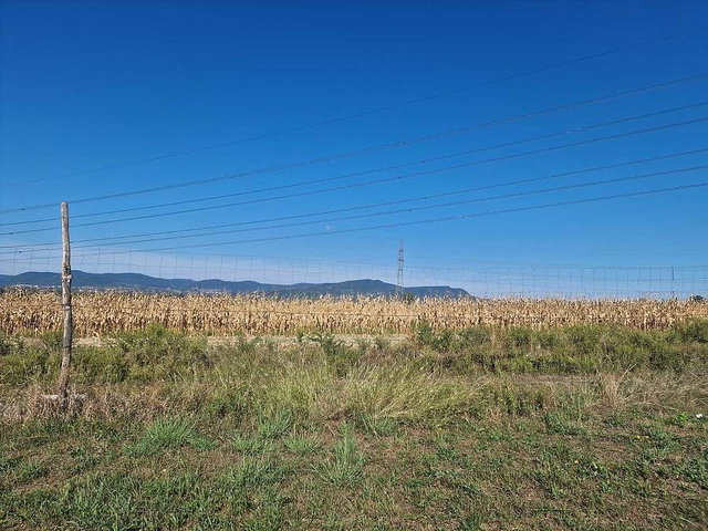 Eladó mezogazdasagi ingatlan, Dunakeszin 80 M Ft