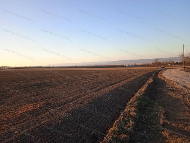 Eladó mezogazdasagi ingatlan, Sárszentmihályon 62.5 M Ft