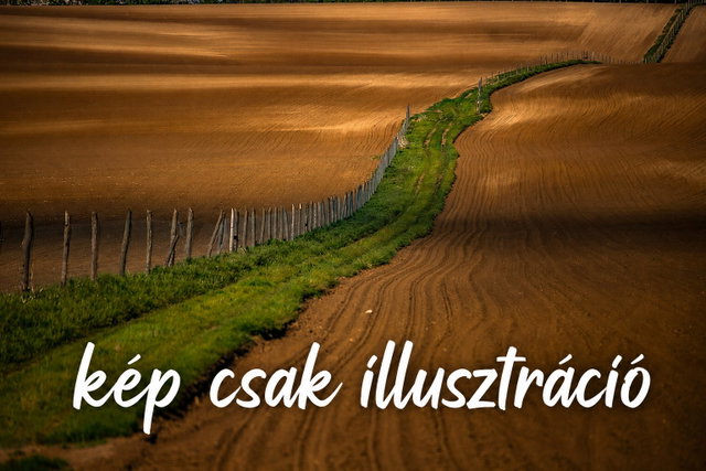 Eladó mezogazdasagi ingatlan, Ráckevén 2.9 M Ft