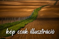 Eladó mezogazdasagi ingatlan, Ráckevén 2.9 M Ft