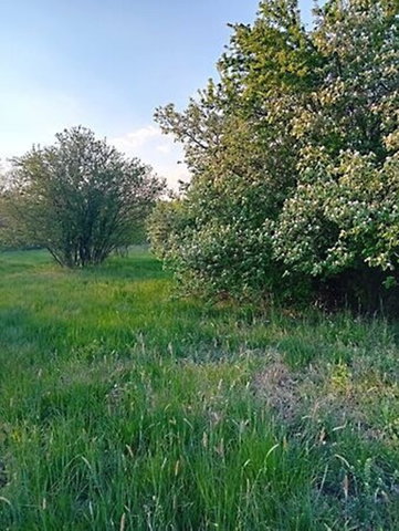 Eladó telek, Gyomaendrődön, Hantoskerti úton 2.99 M Ft