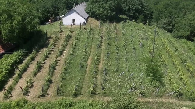 Eladó nyaraló, Lesencetomajon 105 M Ft, 1 szobás