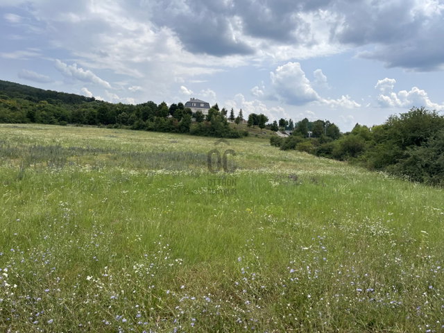 Eladó telek, Budajenőn 691.6 M Ft / költözzbe.hu