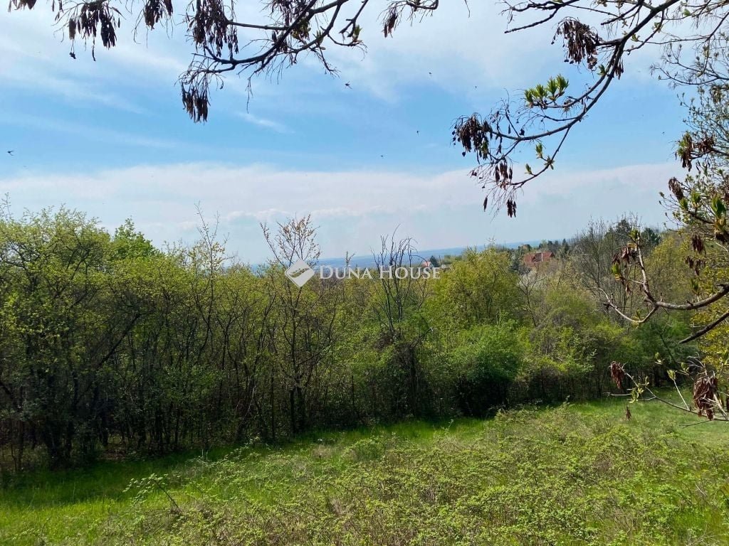 1546m² · 10.900.000 ft
