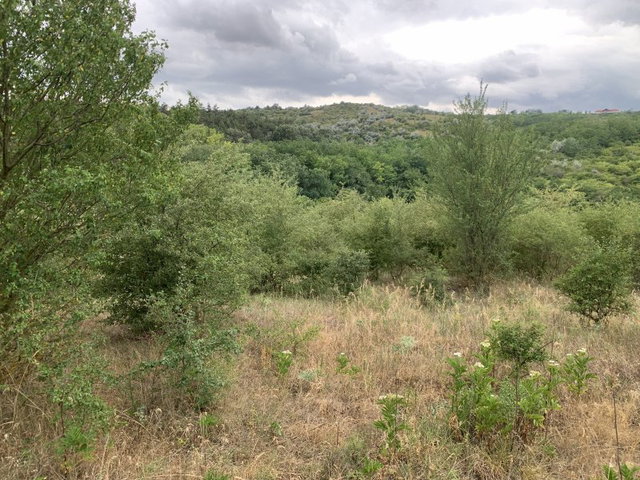 Eladó telek, Tinnyén 27.7 M Ft / költözzbe.hu