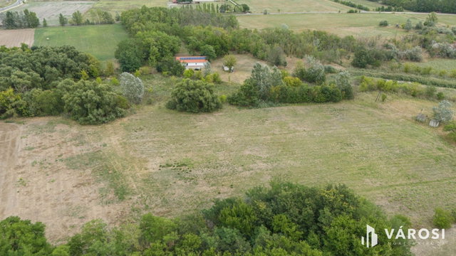 Eladó mezogazdasagi ingatlan, Balástyán 55 M Ft, 2 szobás