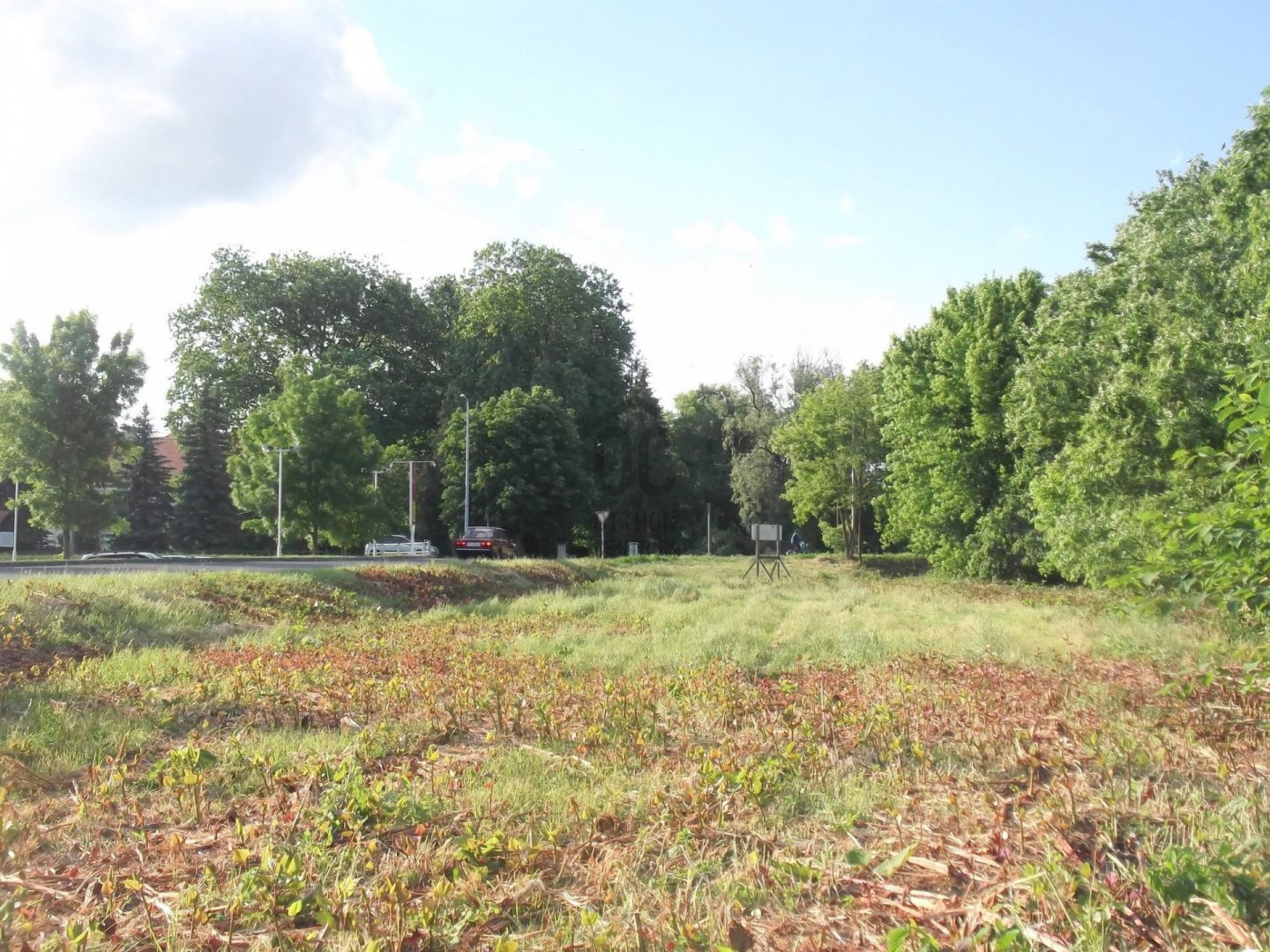 6338m² · 350.000 ft