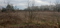 Eladó mezogazdasagi ingatlan, Csemőn 2.5 M Ft