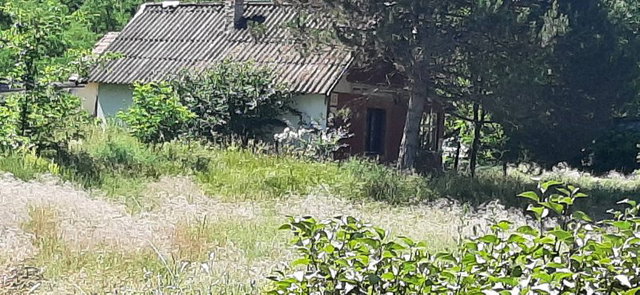 Eladó családi ház, Dabason 16 M Ft, 2 szobás