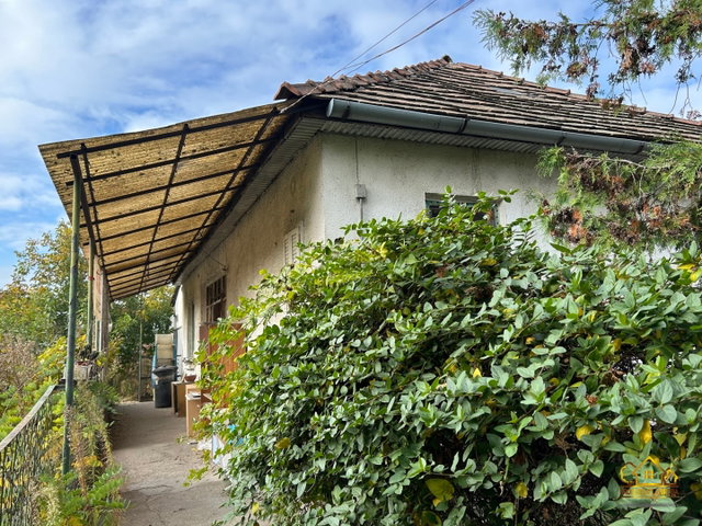 Eladó mezogazdasagi ingatlan, Szigethalmon 49.9 M Ft