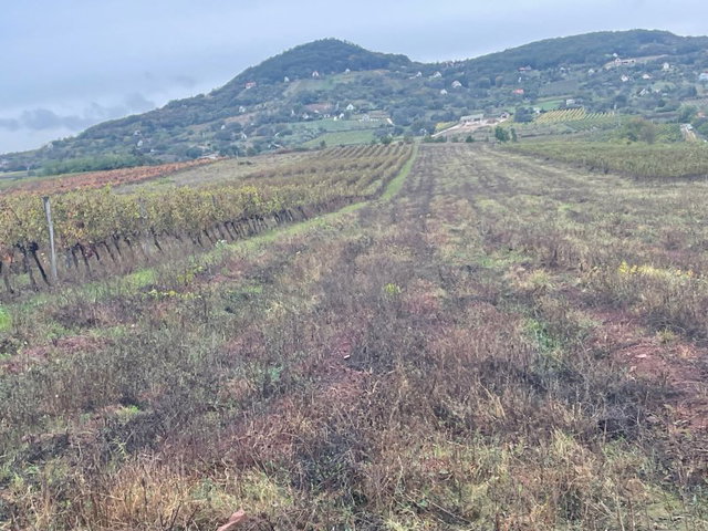 Eladó mezogazdasagi ingatlan, Zánkán 8.6 M Ft