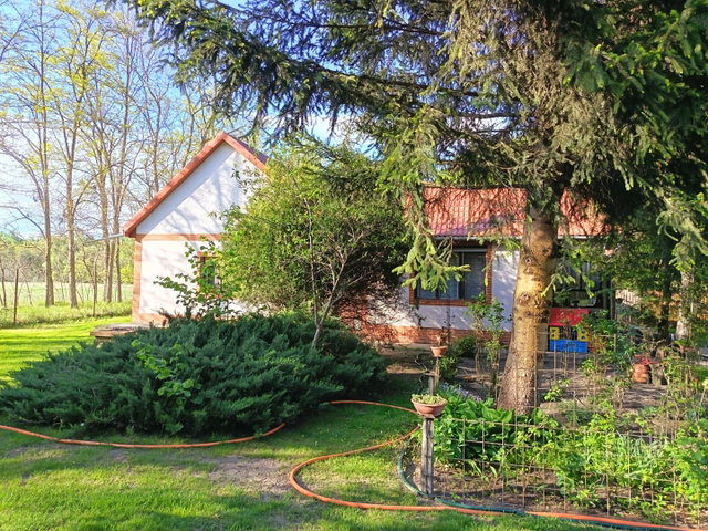 Eladó családi ház, Csemőn 88 M Ft, 4 szobás
