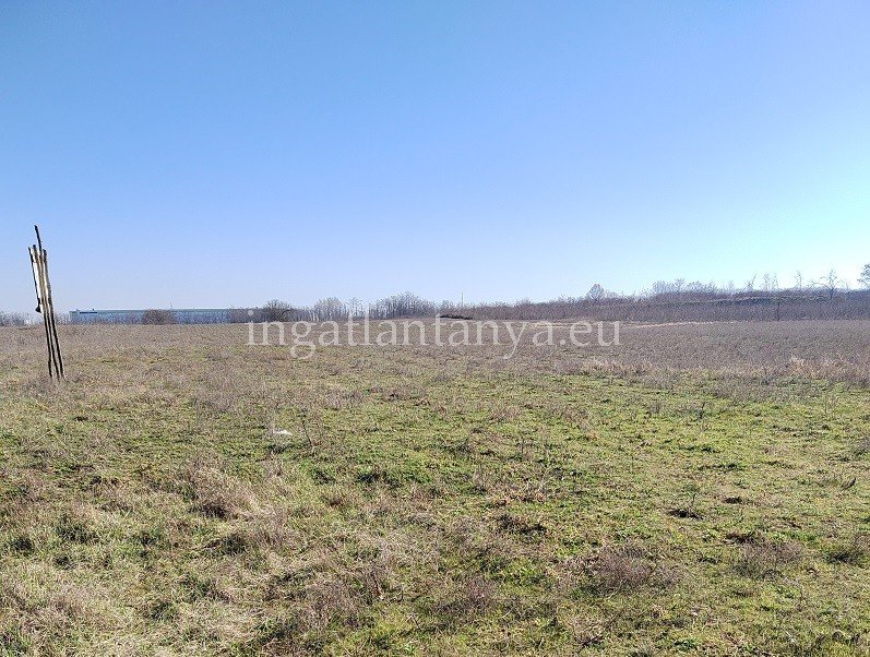 Telek · 21000 m² · 420.000.000 Ft