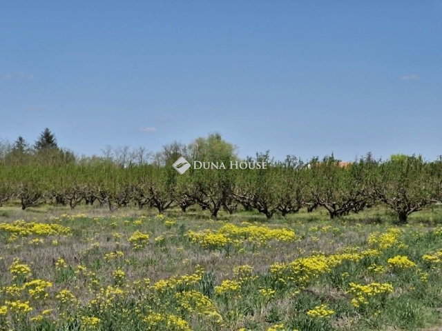 Eladó mezogazdasagi ingatlan, Bordányon 14.6 M Ft