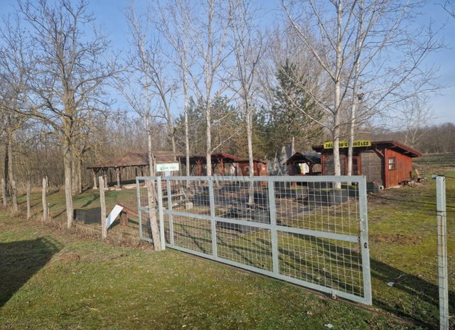 Eladó mezogazdasagi ingatlan, Táborfalván 19.5 M Ft