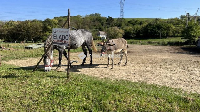Eladó telek, Karmacson 5.9 M Ft / költözzbe.hu