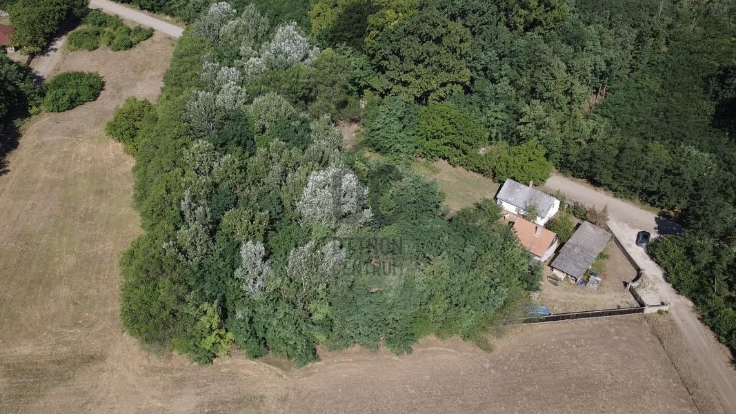 Telek · 14417 m² · 120.000.000 Ft