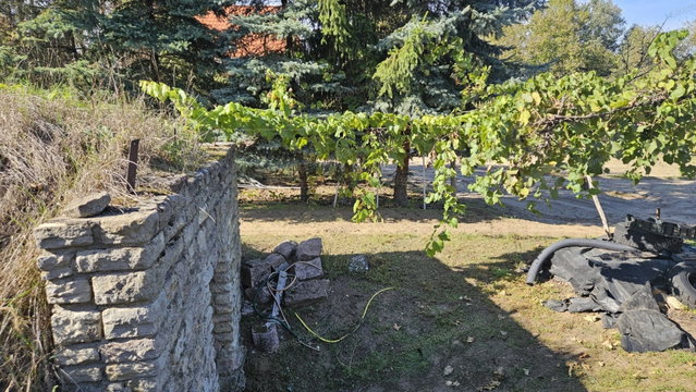 Eladó mezogazdasagi ingatlan, Tatán 8.5 M Ft