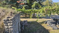 Eladó mezogazdasagi ingatlan, Tatán 8.5 M Ft