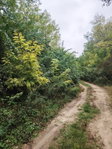 Eladó mezogazdasagi ingatlan, Dabason 10.9 M Ft
