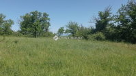 Eladó telek, Telekin 19.9 M Ft / költözzbe.hu