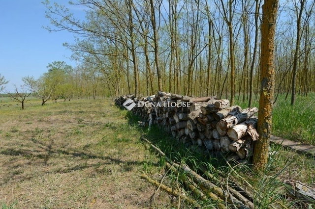 Eladó családi ház, Jakabszálláson 160 M Ft, 3 szobás