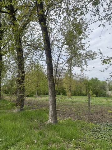 Eladó telek, Szolnokon 62.9 M Ft / költözzbe.hu