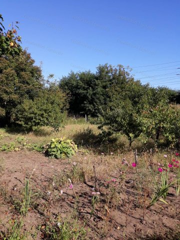 Eladó telek, Tápiószelén 1.8 M Ft / költözzbe.hu