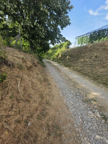 Eladó mezogazdasagi ingatlan, Hetvehelyen 4.9 M Ft
