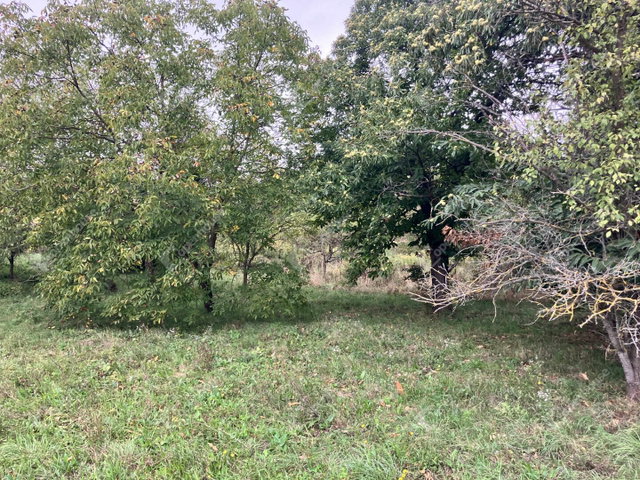 Eladó telek, Vöcköndön 0.7 M Ft / költözzbe.hu
