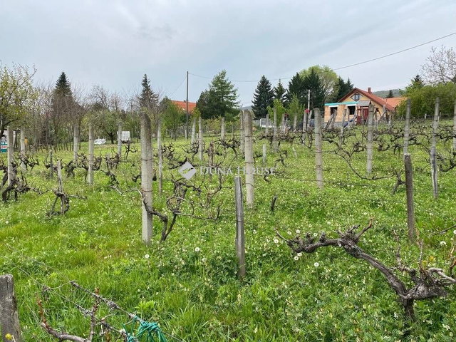 Eladó nyaraló, Pécsett, Mezsgye dűlőn 20 M Ft, 1 szobás