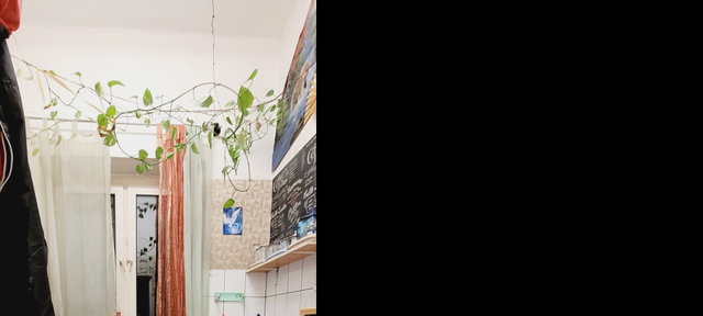 Eladó üzlethelyiség, Miskolcon 29.9 M Ft / költözzbe.hu